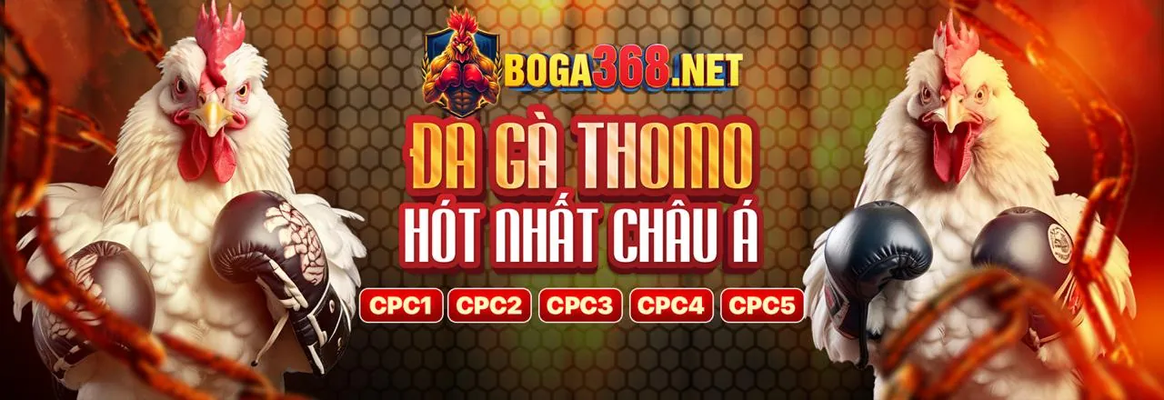 Sân vận động sôi động với không khí cá cược thể thao tại i9bet100