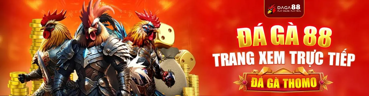 Đá gà trực tuyến i9bet100, trận đấu sôi động